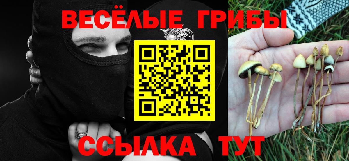 Галлюциногенные грибы Psilocybine cubensis Усолье-Сибирское