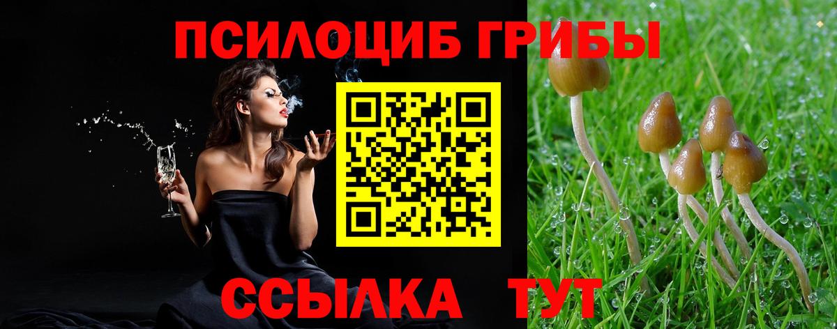 Галлюциногенные грибы Magic Shrooms  Вход с VPN  Усолье-Сибирское 